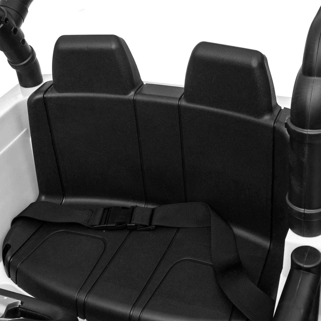 Electric Car safe belts