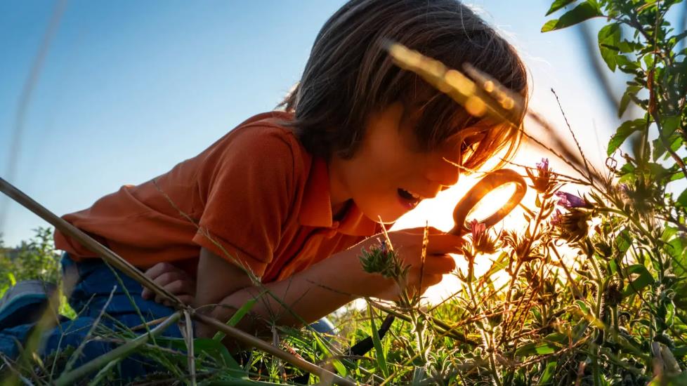 child explore the nature