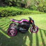 12V Electric Ride On Motorcycle, Battery Powered Ride On Toy Car, Rose Red, Ostrich Series, Common Ostrich photo review
